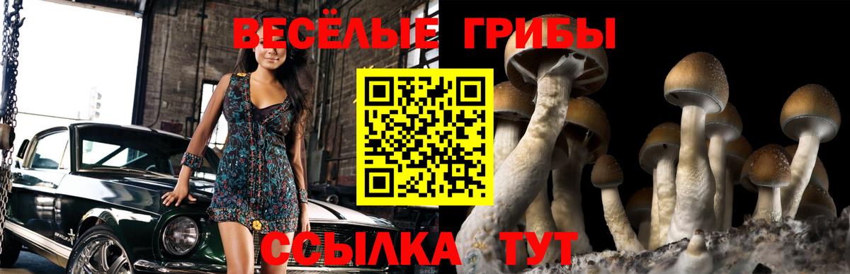 Галлюциногенные грибы мицелий  Вход с VPN  Обь 